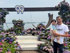 -无锡蠡湖国家湿地公园-蠡园