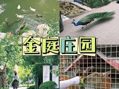 -金庭庄园酒店-停车场