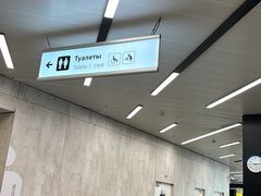 -谢列梅捷沃国际机场
