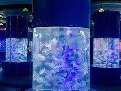 -重庆欢乐海底世界