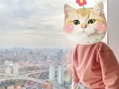 -上海明天广场JW万豪酒店