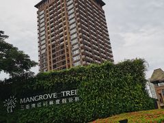 -三亚湾红树林度假世界(木棉酒店)