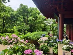 -吴山景区