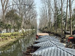 -合肥滨湖国家森林公园