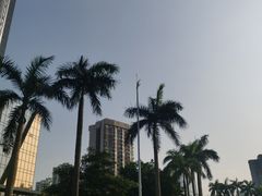-珠海圆明新园