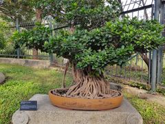 -国家植物园南园