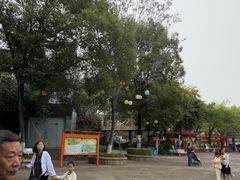 -南湖梦幻岛