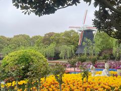 -上海鲜花港