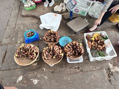 -云南木水花野生菌交易中心