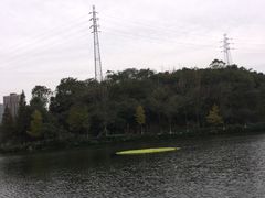 -重庆彩云湖湿地公园