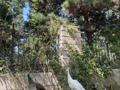 -静之湖度假区