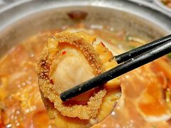 -禄婶鸡煲·打边炉