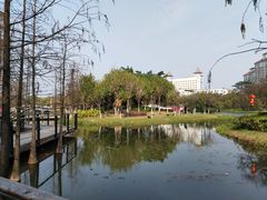 -映月湖公园