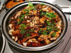千岛湖啫哩鱼头煲豆豉味-维园悦谱·海派家常菜(乌鲁木齐南路店)