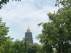 -红梅公园