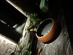 -大桶大足浴(陈春路店（3公里左右免费接送）)