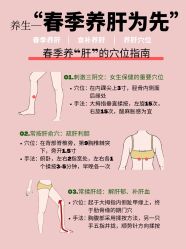 -慈蕊美容养生·专业经络调理