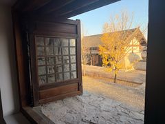 -大唐贡茶院