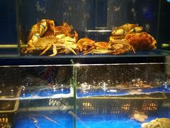 水产区-烧货·活海鲜炭烧(湖滨商业街店)