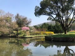 -无锡梅园公园