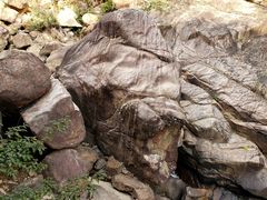 -广州白江湖森林公园