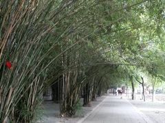 -孺子亭公园