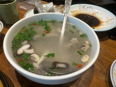 -椿不老