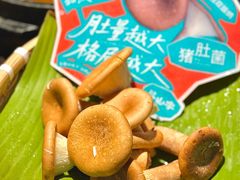 -芸山季·云南野生菌火锅(人民广场来福士店)
