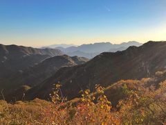 -大岭沟猕猴桃谷风景区