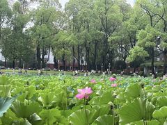 -四川大学(望江校区)
