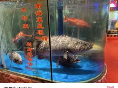 -惠食佳(滨江大公馆店)
