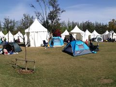 -上海长兴岛郊野公园