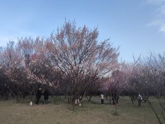 -蜀冈西峰生态公园