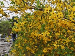 -云龙湖旅游景区