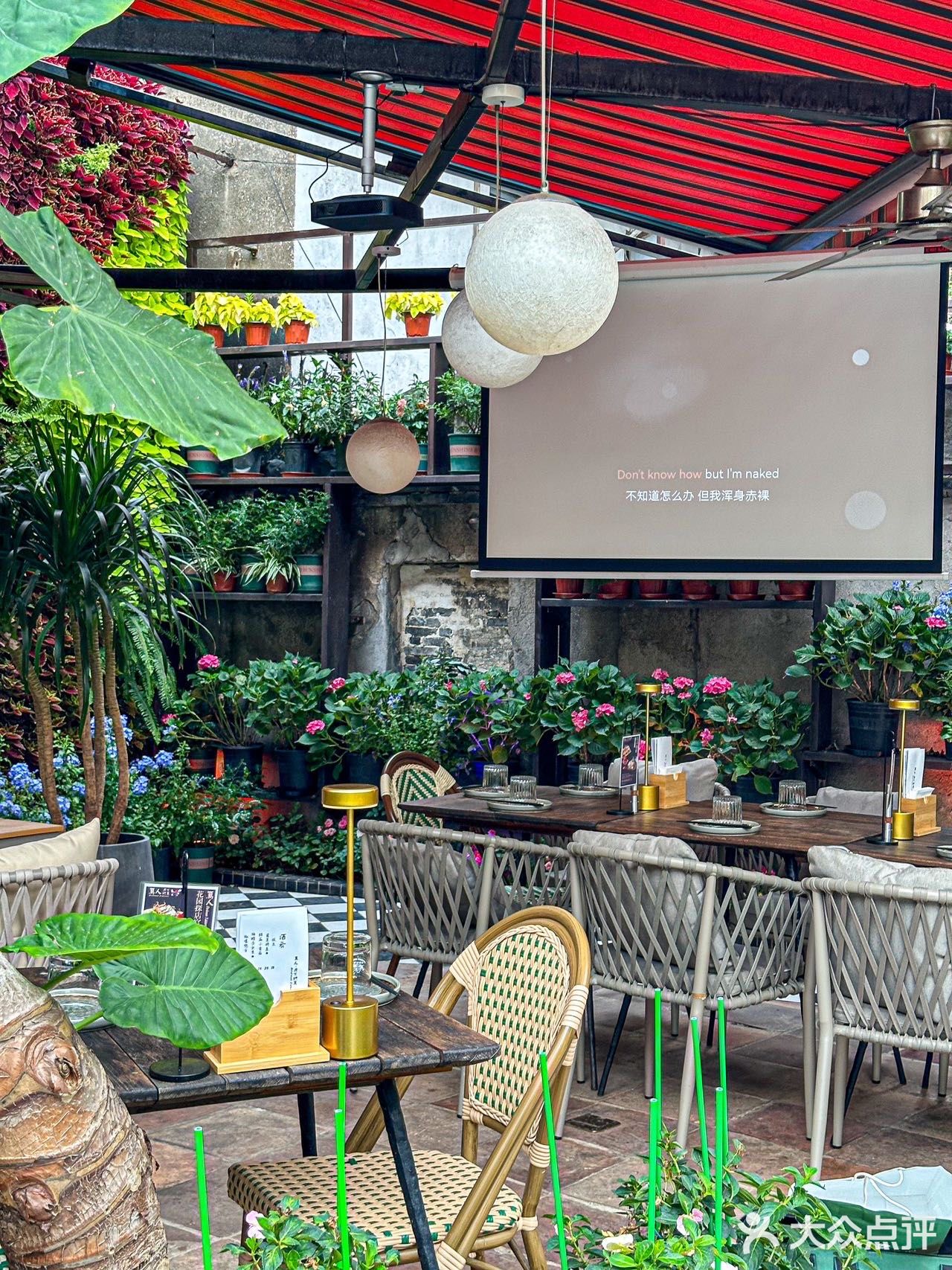 置身于一个宁静而美丽的花园之中。- 蒜蓉乳山生蚝🦪