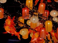 -龙湖星悦荟(颐和店)