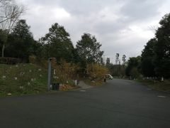 -都江堰中华大熊猫苑