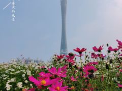 -海心沙亚运公园