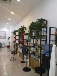 -黑奥秘脱发白发中心