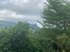 -七仙岭温泉国家森林公园