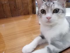 -龟与熊猫宠物公园(南坪店)