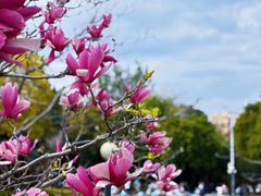 -福州大学(旗山校区)