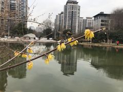 -木塔寺遗址生态公园