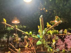 -酷嗒动物文化乐园(cutezoo西溪乐天城店)