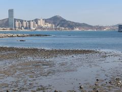 -黑石礁公园