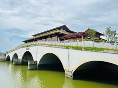 -大湾区中央湿地公园
