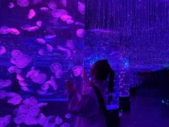 -哈尔滨波塞冬海底世界