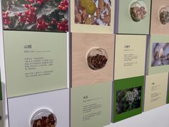 -中国湿地博物馆