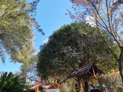-七彩云南古滇温泉山庄