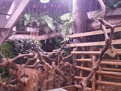 -正佳雨林生态植物园